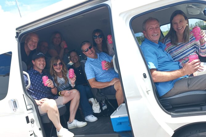 Cozumel Private Airport Transfer - What This Transfer Gets Right in Cozumel