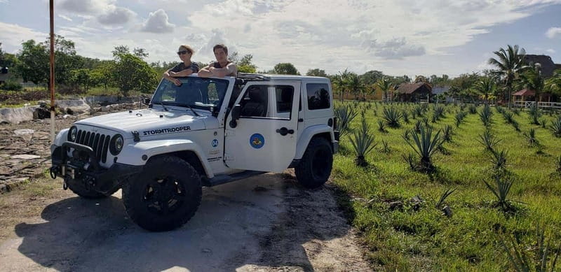Cozumel Private Jeep Tour with Lunch and Snorkeling - Who this Cozumel private jeep tour suits best