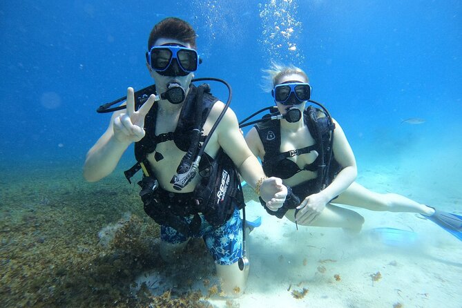 Cozumel Scuba Dive at Chankanaab - Stop-by-stop: how the day flows (and where it can be tight)