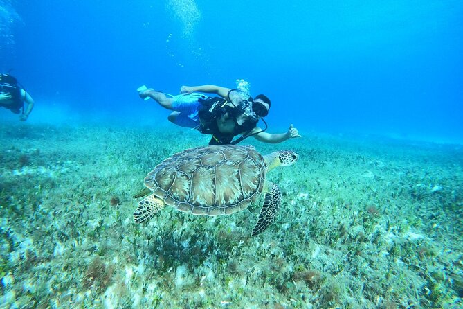 Cozumel Scuba Dive at Chankanaab - After the water: beach time, drinks, and added fun