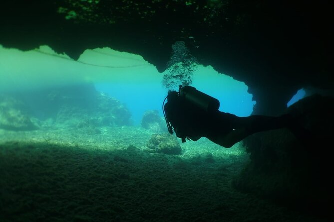 Cozumel Scuba Dive at Chankanaab - Who this is best for (and who might choose differently)