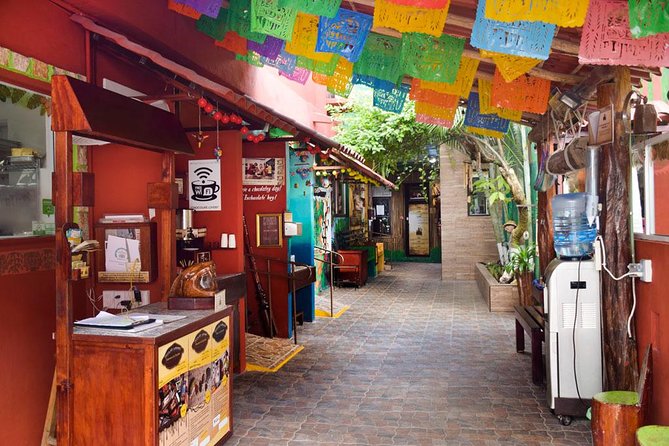 Cozumel Shore Excursion: 5-Hour Sightseeing Tour with Private Driver - Mi Mexico Lindo Tequila Tour: Bottles, Tastings, and Bee-Honey for Kids