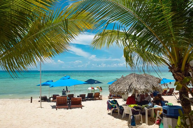 Cozumel Shore Excursion: 5-Hour Sightseeing Tour with Private Driver - El Mirador for East-Coast Photos and a Breather