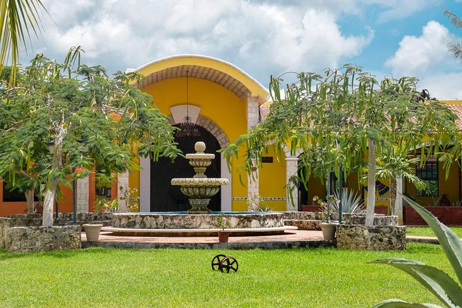 Cozumel Shore Excursion: 5-Hour Sightseeing Tour with Private Driver - Value, Price, and What You’ll Want to Plan For