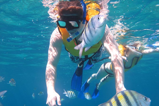 Cozumel Shore Excursion: Playa Uvas Private Beach Pass - The rocky shore reality: water shoes are your best friend