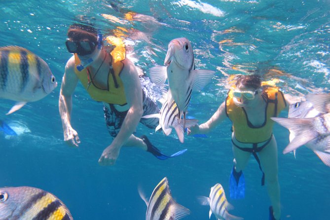 Cozumel Shore Excursion: Playa Uvas Private Beach Pass - Beach club vibe: not luxury, but friendly and often uncrowded