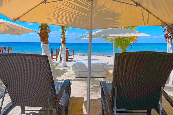 Cozumel: Shore Excursions for Royal Caribbean Cruise Passengers - Getting Back to the Cruise Terminal: The One Missing Piece