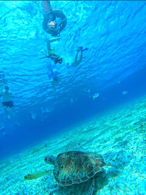 Cozumel: snorkeling on reefs + visit to "El Cielo" - Why this Cozumel reef and El Cielo combo feels special
