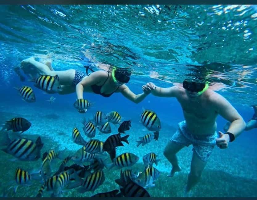 Cozumel: snorkeling on reefs + visit to "El Cielo" - Meeting at Muelle Fiscal de Cozumel and finding module #6