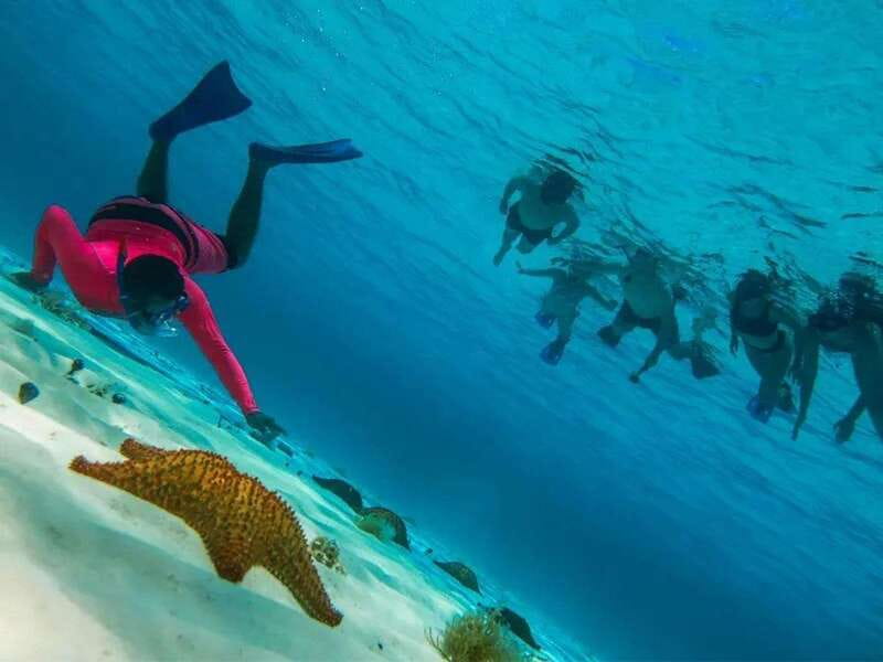Cozumel: snorkeling on reefs + visit to "El Cielo" - Reef time: what Palancar and Columbia are like underwater