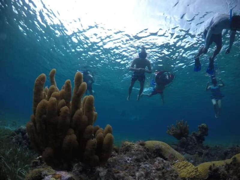 Cozumel: snorkeling on reefs + visit to "El Cielo" - Onboard comfort: shade, drinks, snacks, and the rhythm of the day