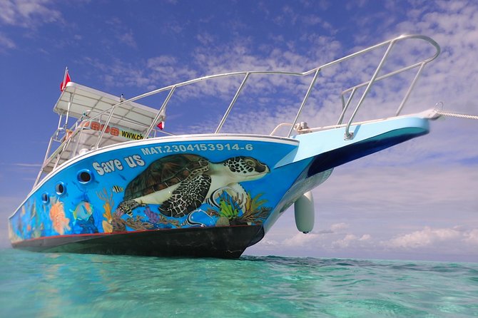 Cozumel Snorkeling Tour at Palancar & Colombia Reefs and El Cielo - El Cielo, Palancar, and Colombia: How the Three Stops Differ