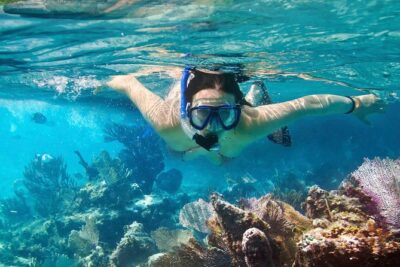 Cozumel Snorkeling Tour at Palancar & Colombia Reefs and El Cielo - Stop 1 Colombia Reef: Turtles, Rays, and Coral Communities