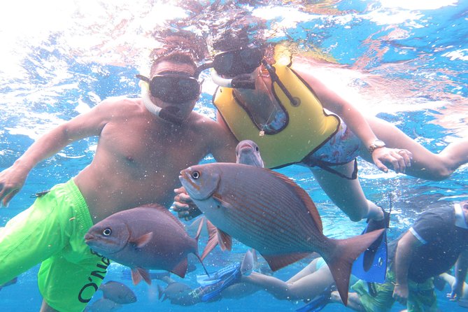 Cozumel Snorkeling Tour at Palancar & Colombia Reefs and El Cielo - Price and Value: What You’re Actually Paying For