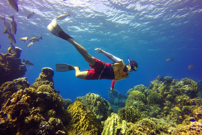 Cozumel snorkeling tour: Palancar, Columbia and El Cielo reefs - What’s Included (and Why It’s Actually Good Value)
