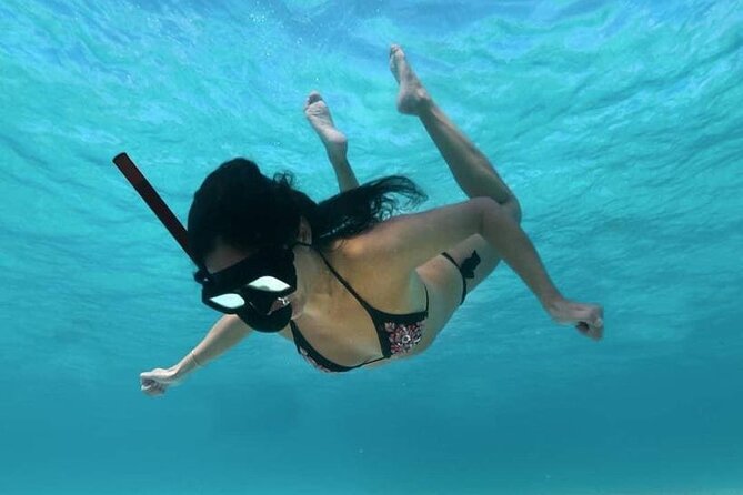 Cozumel snorkeling tour: Palancar, Columbia and El Cielo reefs - Stop 3: Columbia Reef for Fish Life and Colorful Coral