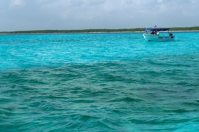 Cozumel Snorkeling Tour: Palancar, Columbia and El Cielo Reefs - Gear, Boat Comfort, and the Included “Fuel” Plan
