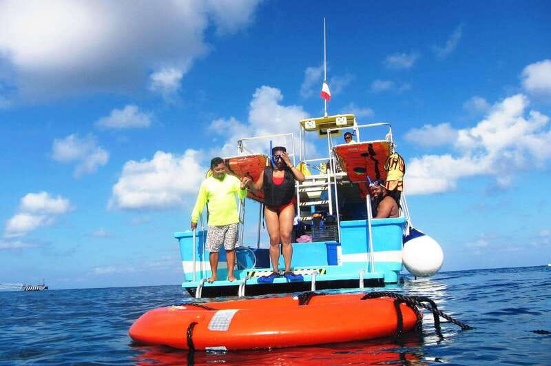 Cozumel: VIP Glass Bottom Boat & Snorkeling 3 Reefs Tour - What you’ll likely see under the surface