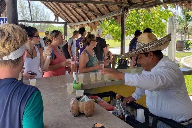 Customizable Private Buggy Tour in Cozumel with Lunch and Snorkel - Rancho Alejandra tequila ranch: tasting, distillation, and animals