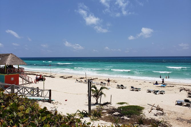 Customizable Private Buggy Tour in Cozumel with Lunch and Snorkel - Price and value: is $79 per person a good deal?