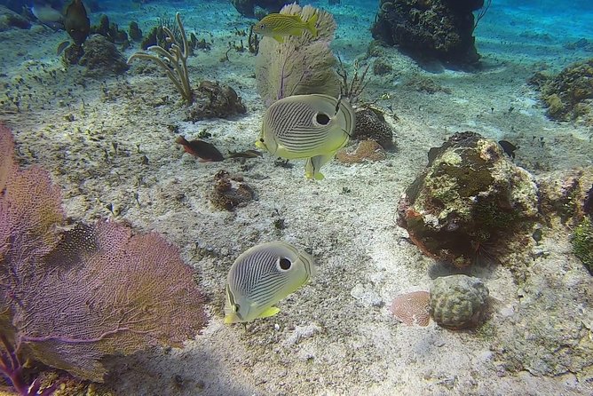 Discover Scuba Diving - The Instructor Part: Why People Mention Names