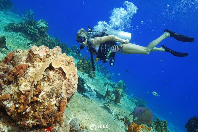 Discover Scuba Diving - Off Tikila Beach: What Your Reef Visit Feels Like