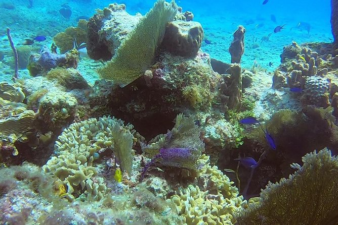 Discover Scuba Diving - Snorkeling After: Use the Rest of Your Gear