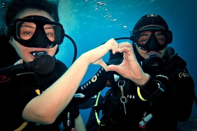 Discover Scuba Diving in Cozumel Paradise Reef - Paradise Reef Is Built for First Underwater Confidence