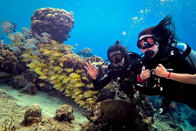 Discover Scuba Diving in Cozumel Paradise Reef - From Shallow Beach Skills to Paraiso Reef (First Underwater Session)