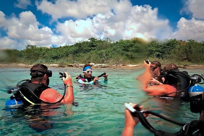 Discover Scuba Diving in Cozumel Paradise Reef - Between Sessions: Food, Drinks, and a Real Reset