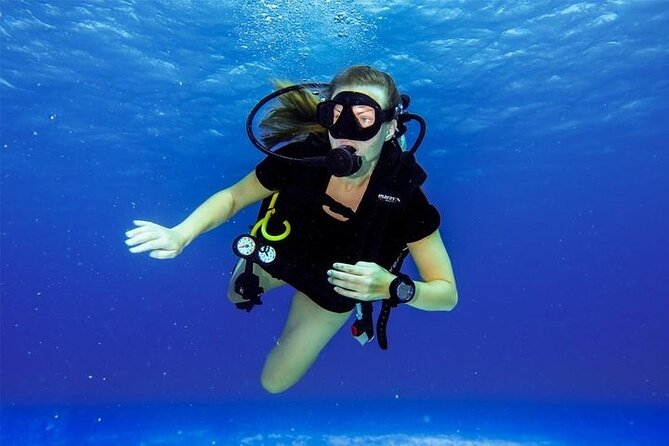 Discover Scuba Diving in Cozumel Paradise Reef - Second Reef Session at Paradise Reef: Where the Wildlife Shows Up