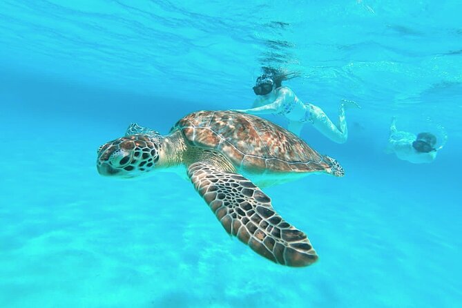 El Cielo Cozumel Snorkel Private Boat + Food + Drinks + Beach - Entering The Day at San Francisco Beach Club