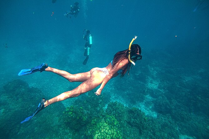 El Cielo Cozumel Snorkel Private Boat + Food + Drinks + Beach - Price and Value: Why Private Often Costs Less Than You Think