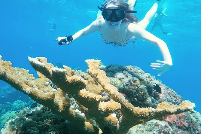 El Cielo Cozumel Snorkel Private Boat + Food + Drinks + Beach - Getting To The Boat Without Stress (Taxi, Timing, and Where To Be)