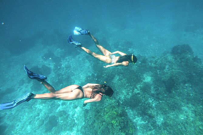 El Cielo Cozumel Snorkel Share Boat + Reefs + Food Drinks + Beach - Colombia Reef: Short Snorkel Time, Big Color Payoff