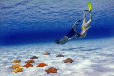 El Cielo Cozumel Snorkel Share Boat + Reefs + Food Drinks + Beach - How the 3-Hour Snorkel Rhythm Works