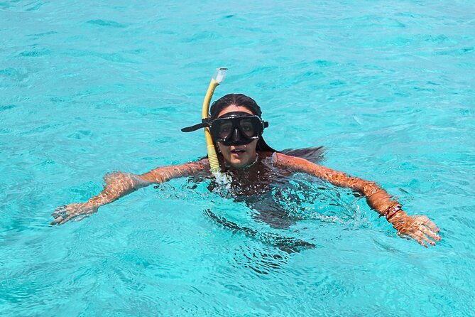 El Cielo Cozumel Snorkel Share Boat + Reefs + Food Drinks + Beach - El Cielo Cozumel: Starfish Sanctuary on Clear-Water Display