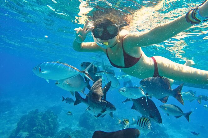 El Cielo Cozumel Snorkel Share Boat + Reefs + Food Drinks + Beach - Snacks and Drinks: What’s Included Adds Real Value