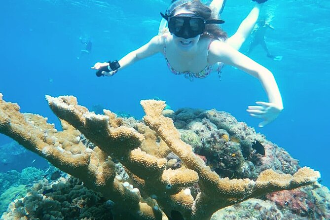 El Cielo Cozumel Snorkel Share Boat + Reefs + Food Drinks + Beach - Equipment, Wi-Fi, Bathrooms, and Showers: The “Small Stuff” That Helps