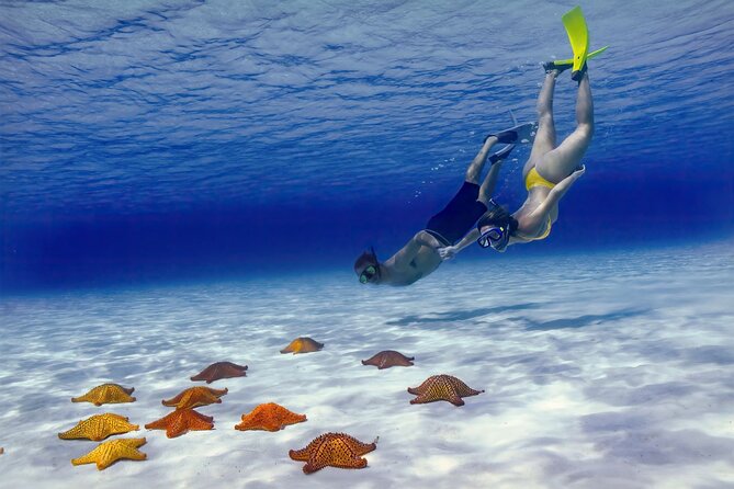 El Cielo Cozumel Snorkel Share Boat + Reefs + Food Drinks + Beach - How the 3-Hour Snorkel Rhythm Works