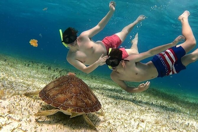 El Cielo Cozumel Snorkel tour by Catamaran - Quick hits before you book