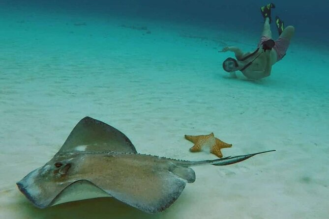 El Cielo Cozumel Snorkel tour by Catamaran - How this catamaran tour really plays for you
