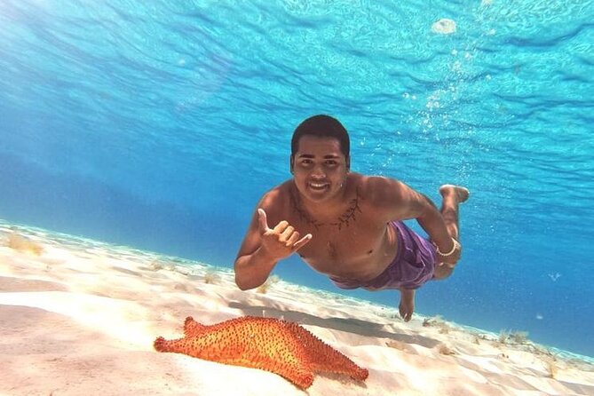 El Cielo Cozumel Snorkel tour by Catamaran - Snorkeling safety and comfort: what the crew does that helps