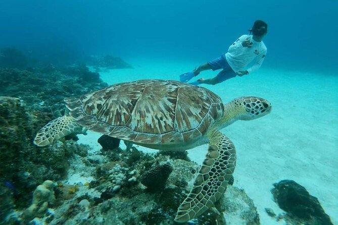 El Cielo Cozumel Snorkel tour by Catamaran - Stop 1: Palancar Reef to kick off your reef checklist