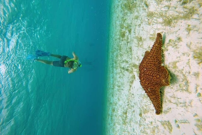 El Cielo Cozumel Snorkel tour by Catamaran - Boarding at Marina Cozumel: start on time and you’ll be fine