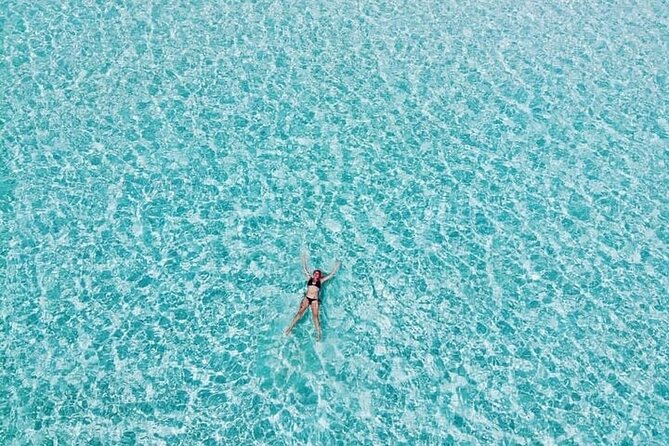 El Cielo Cozumel Snorkeling Tour - All-Inclusive - Palancar Reef: the kind of stop you talk about later