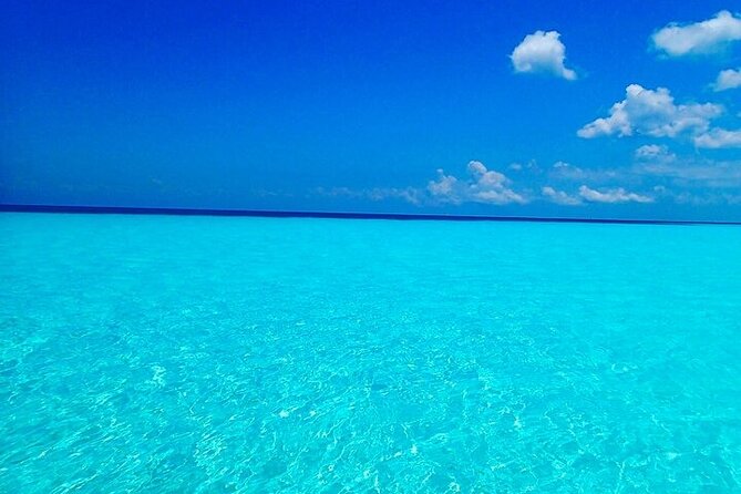 El Cielo Cozumel Snorkeling Tour - All-Inclusive - Parque Nacional Arrecifes de Cozumel: snorkeling with a bigger purpose