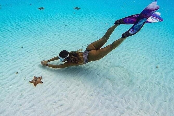 El Cielo Cozumel Snorkeling Tour - All-Inclusive - On-water support: how the crew affects your comfort level