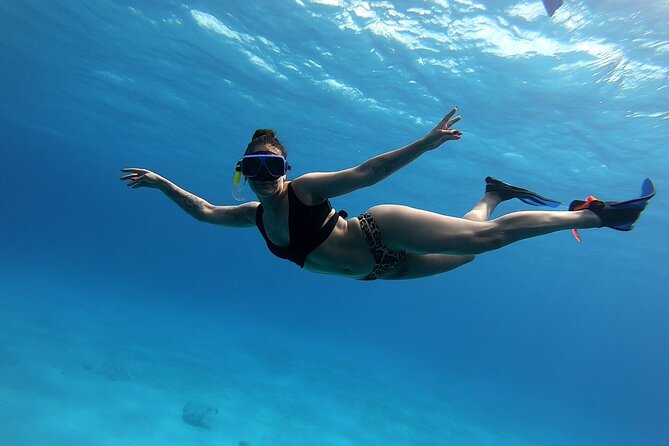 El Cielo Cozumel Snorkeling tour by Private Boat - What’s actually included: gear, drinks, ceviche, and shade