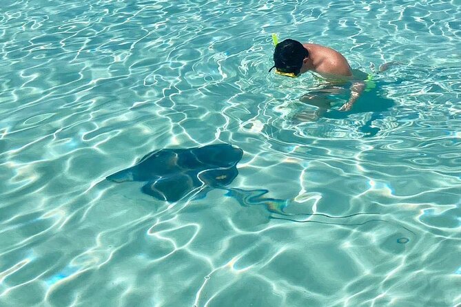 El Cielo Cozumel Snorkeling tour by Private Boat - Stop 1 and the real star: Playa El Cielo’s shallow starfish show